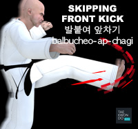 Skipping Front Kick ( 발붙여 앞차기 balbucheo-ap-chagi )