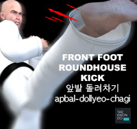 Front Foot Roundhouse Kick ( 앞발 돌려차기 apbal-dollyeo-chagi )