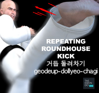 Repeating Turn Kick ( 거듭 돌려차기 geodeup-dollyeo-chagi )