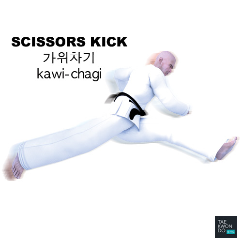 Scissors Kick ( 가위차기 kawi-chagi )