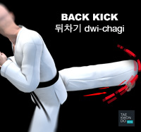 Back Kick ( 뒤차기 dwi-chagi )
