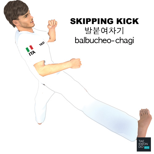 Skipping Kick ( 발붙여차기 balbucheo-chagi )