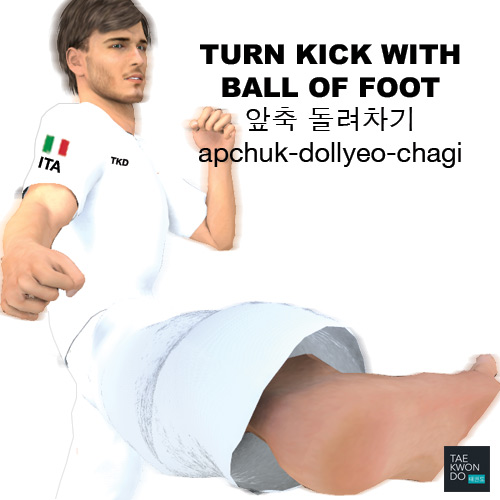 Turn Kick with Ball of Foot ( 앞축 돌려차기 apchuk-dollyeo-chagi )