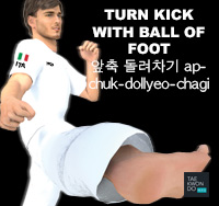 Turn Kick with Ball of Foot ( 앞축 돌려차기 apchuk-dollyeo-chagi )