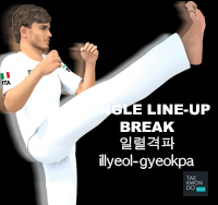 Single Line-up Break ( 일렬격파 illyeol-gyeokpa )