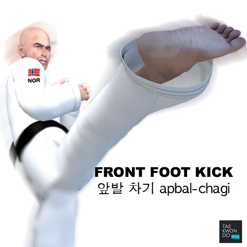 Front Foot Kick ( 앞발 차기 apbal-chagi )