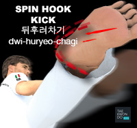 Spin Hook Kick ( 뒤후려차기 dwi-huryeo-chagi )