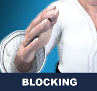 Blocking ( 막기 makgi ) | In martial arts, blocking is the act of stopping or deflecting an opponent's attack for the purpose of preventing injurious contact with the body
