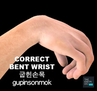 Taekwondo Bent Wrist ( 굽힌손목 gupinsonmok ) Posture