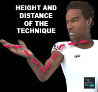 Taekwondo Common Mistakes Height Level and Distance of the Technique