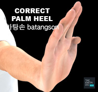 Taekwondo Common Mistakes Not blocking with the palm heel