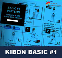 Taekwondo Kibon Basic #1 Poomse