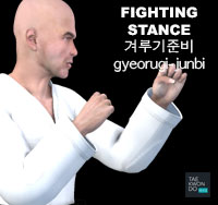 Fighting Stance ( 겨루기준비 gyeorugi-junbi )