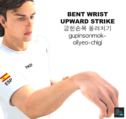 Bent Wrist Upward Strike ( 굽힌손목 올려치기 gupinsonmok-ollyeo-chigi )