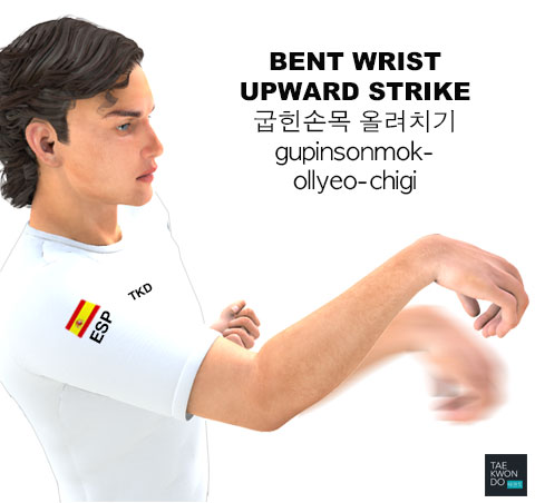 Bent Wrist Upward Strike ( 굽힌손목 올려치기 gupinsonmok-ollyeo-chigi )