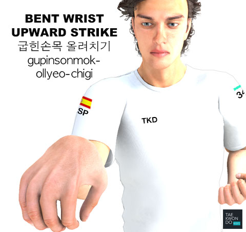 Bent Wrist Upward Strike ( 굽힌손목 올려치기 gupinsonmok-ollyeo-chigi )