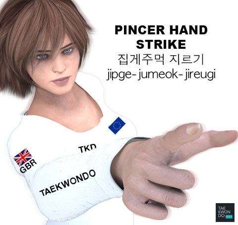 Pincer Hand Strike ( 집게주먹 지르기 jipge-jumeok-jireugi )