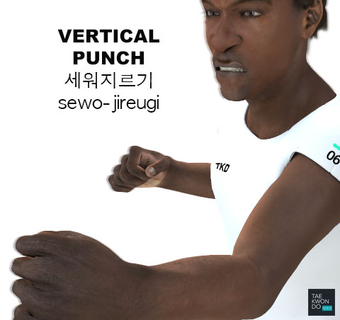 Vertical Punch ( 세워지르기 sewo-jireugi )