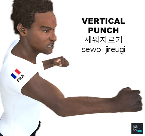 Vertical Punch ( 세워지르기 sewo-jireugi )