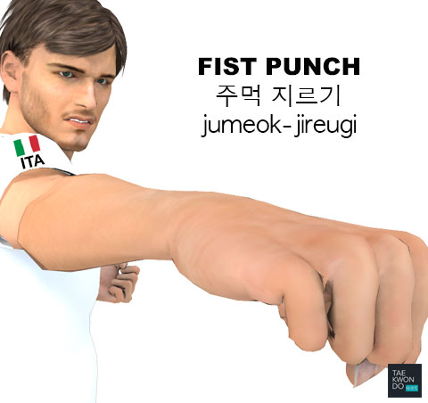 Fist Punch ( 주먹 지르기 jumeok-jireugi )