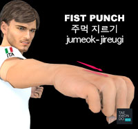 Fist Punch ( 주먹 지르기 jumeok-jireugi )