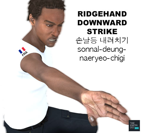 Ridgehand Downward Strike ( 손날등 내려치기 sonnal-deung-naeryeo-chigi )