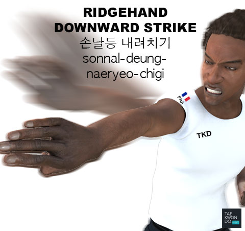 Ridgehand Downward Strike ( 손날등 내려치기 sonnal-deung-naeryeo-chigi )