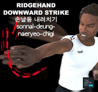 Ridgehand Downward Strike ( 손날등 내려치기 sonnal-deung-naeryeo-chigi )