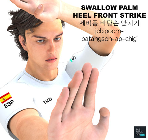 Swallow Palm Heel Front Strike ( 제비품 (바탕손) 앞치기 jebipoom-batangson-ap-chigi )