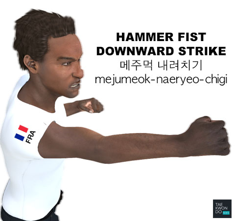 Hammer Fist Downward Strike ( 메주먹 내려치기 mejumeok-naeryeo-chigi )