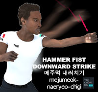 Hammer Fist Downward Strike ( 메주먹 내려치기 mejumeok-naeryeo-chigi )