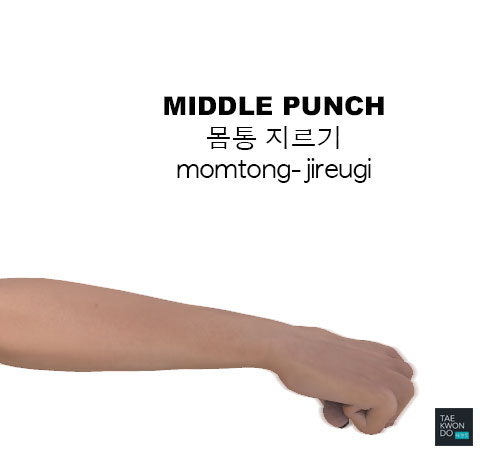 Middle Punch ( 몸통 지르기 momtong-jireugi )