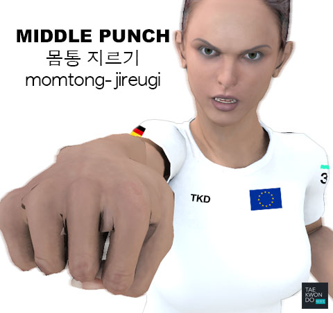 Middle Punch ( 몸통 지르기 momtong-jireugi )