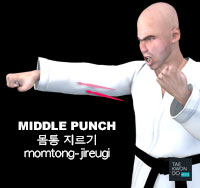 Middle Punch ( 몸통 지르기 momtong-jireugi )