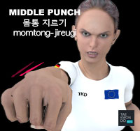 Middle Punch ( 몸통 지르기 momtong-jireugi )