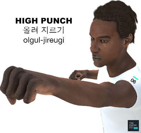 High Punch ( 올려 지르기 olgul-jireugi )