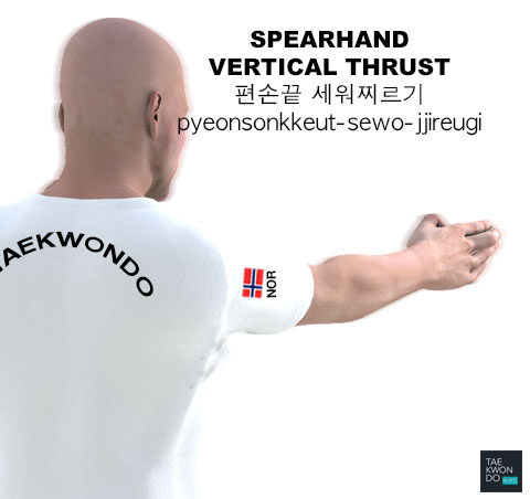 Spearhand Vertical Thrust ( 편손끝 세워찌르기 pyeonsonkkeut-sewo-jjireugi )