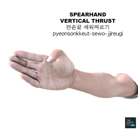 Spearhand Vertical Thrust ( 편손끝 세워찌르기 pyeonsonkkeut-sewo-jjireugi )