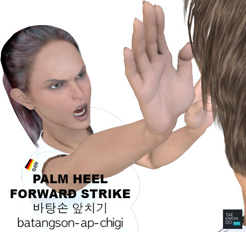 Palm Heel Forward Strike ( 바탕손 앞치기 batangson-ap-chigi )