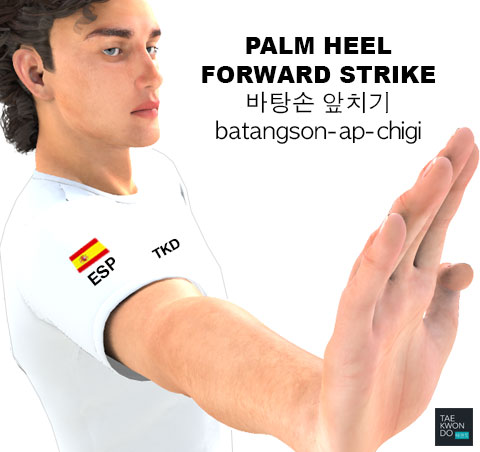 Palm Heel Forward Strike ( 바탕손 앞치기 batangson-ap-chigi )