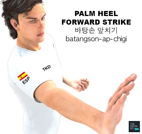 Palm Heel Forward Strike ( 바탕손 앞치기 batangson-ap-chigi )