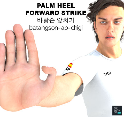 Palm Heel Forward Strike ( 바탕손 앞치기 batangson-ap-chigi )