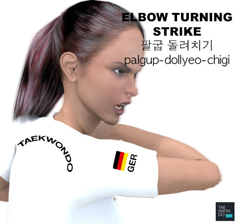 Elbow Turning Strike ( 팔굽 돌려치기 palgup-dollyeo-chigi )