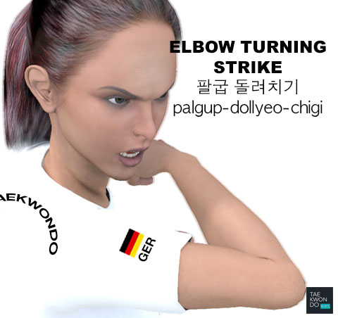 Turning Elbow Strike ( 팔굽 돌려치기 palgup-dollyeo-chigi )