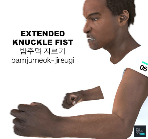 Extended Knuckle Fist ( 밤주먹 지르기 bamjumeok-jireugi )