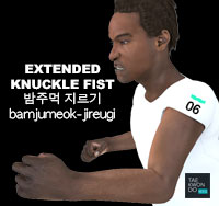 Extended Knuckle Fist ( 밤주먹 지르기 bamjumeok-jireugi )