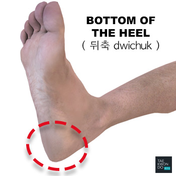 Bottom of the Heel ( 뒤축 dwichuk )