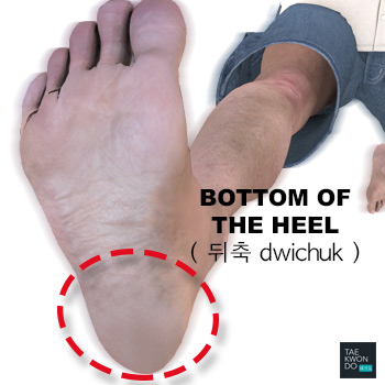 Bottom of the Heel ( 뒤축 dwichuk )