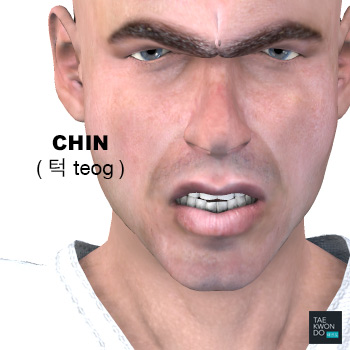 Chin ( 턱 teog )