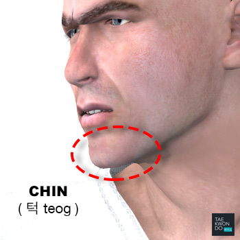 Chin ( 턱 teog )
